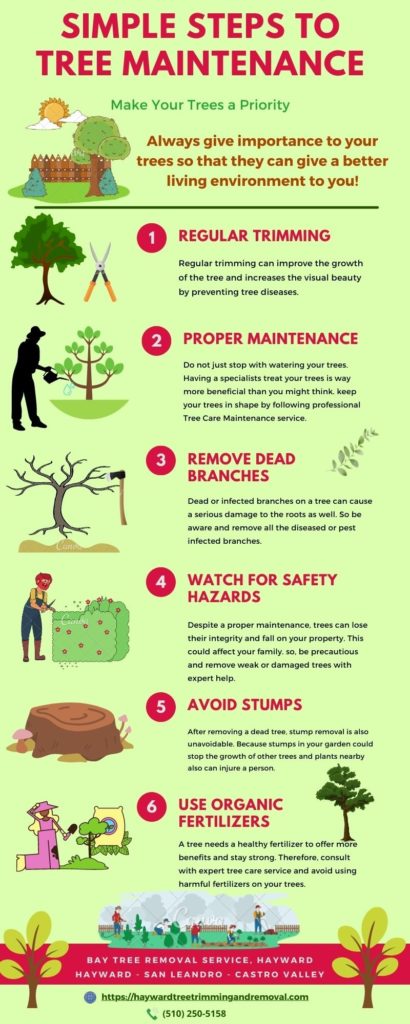 Tree trimmer service Hayward, CATree Trimmer Service - Tree