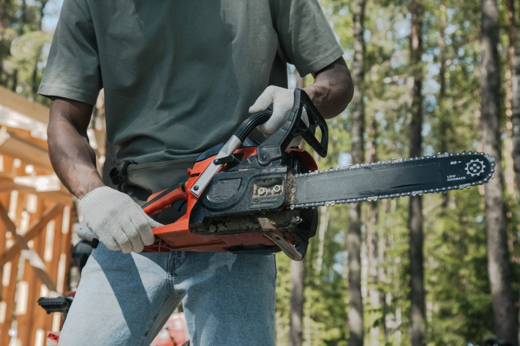 How A Chainsaw Works | Bay Tree Removal Service | Hayward, CA