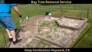 Deep Fertilization in Hayward,CA