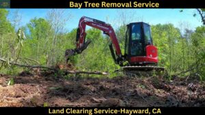 Land Clearing Service in Hayward,CA